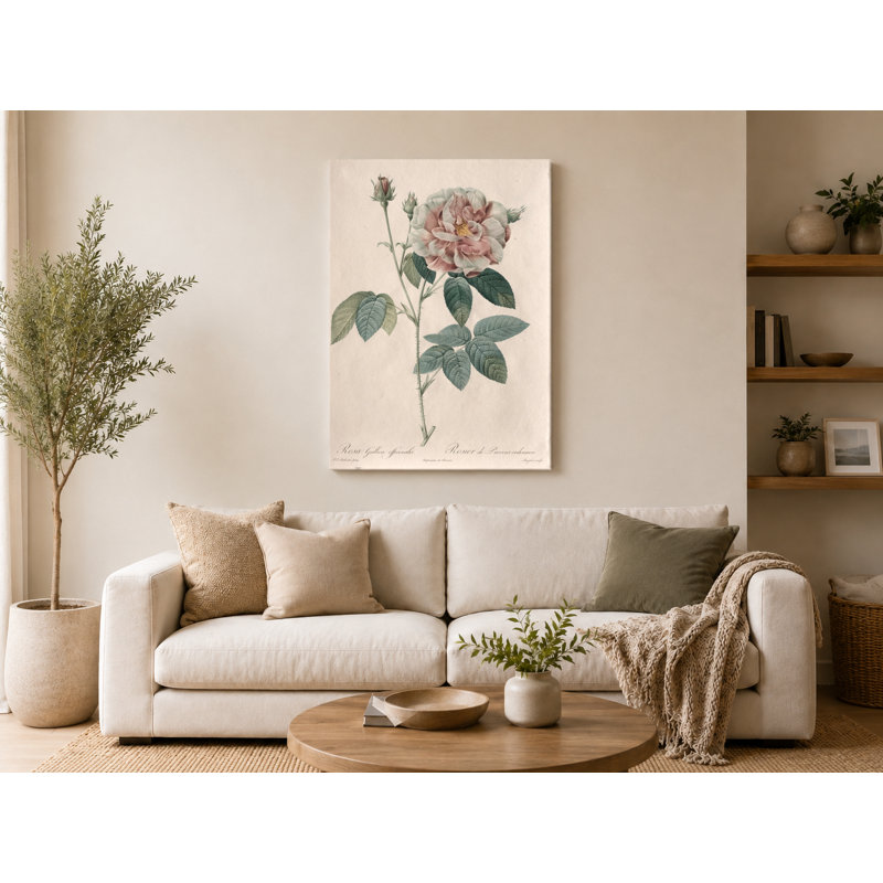 Rosa Gallica Officialis - art mural sur toile Portrait, 30" W x 20" H