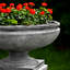 St Louis Handmade Planter-13940607