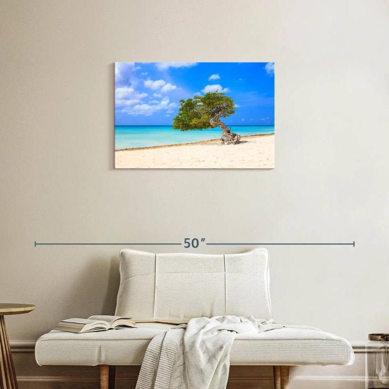 Arbre solitaire sur la plage d'Aruba, H 20 po x l 30 po