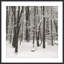 Snowscape 5 Print by Studio L57 Narrative-4013803