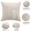 Aspire Homeware Embossed Square Velvet Cushion Cover-1367818244-1369239076
