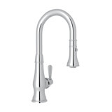 Patrizia™ Pull-Down Bar Faucet with Accessories