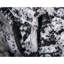 Tapis oriental Brandt-29300613-124454699