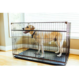 Lucky Dog Dwell Series Crate - Bronze Finish