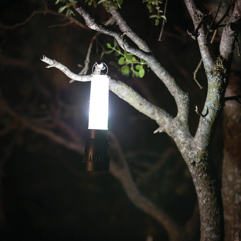 Lampe de travail à DEL intégrée à piles 2,29 "