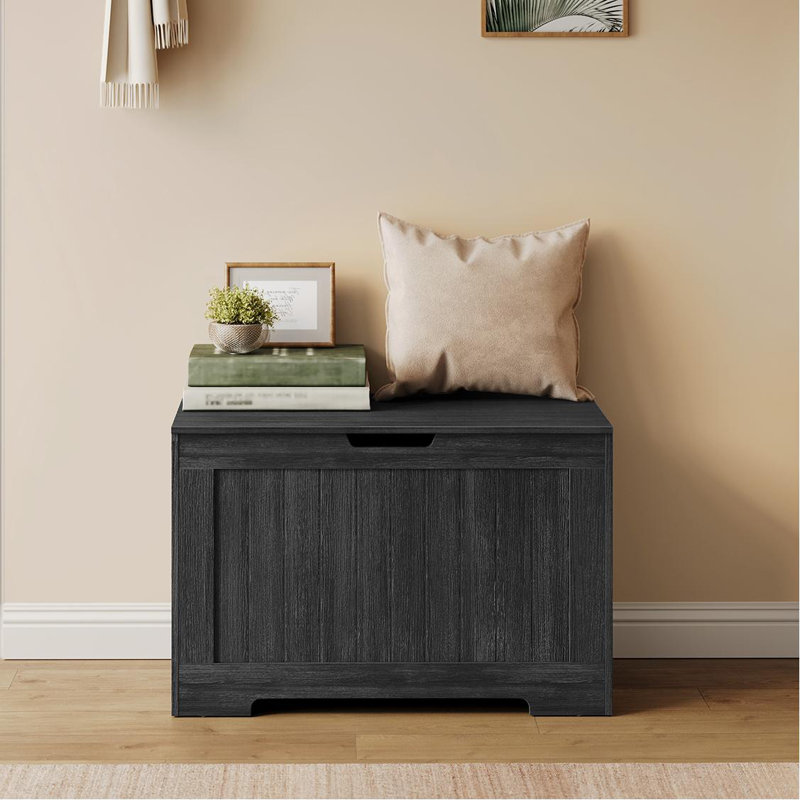Banc de rangement à couvercle relevable l 30 po Enzzo avec capacité de 600 lb, Gris anthracite