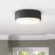 Fitzgerald 2 Light Glass Flush Mount