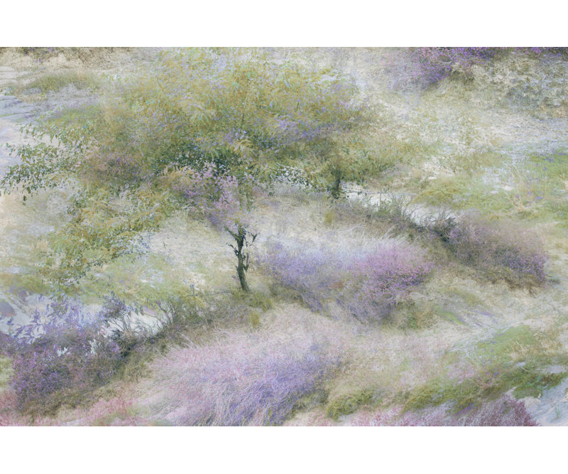 Wrapped Canvas Print, 81.28cm H x 121.92cm W