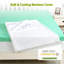 Surmatelas en mousse viscoélastique sans matelas 4 po Neabsco Alwyn Home-1810761346