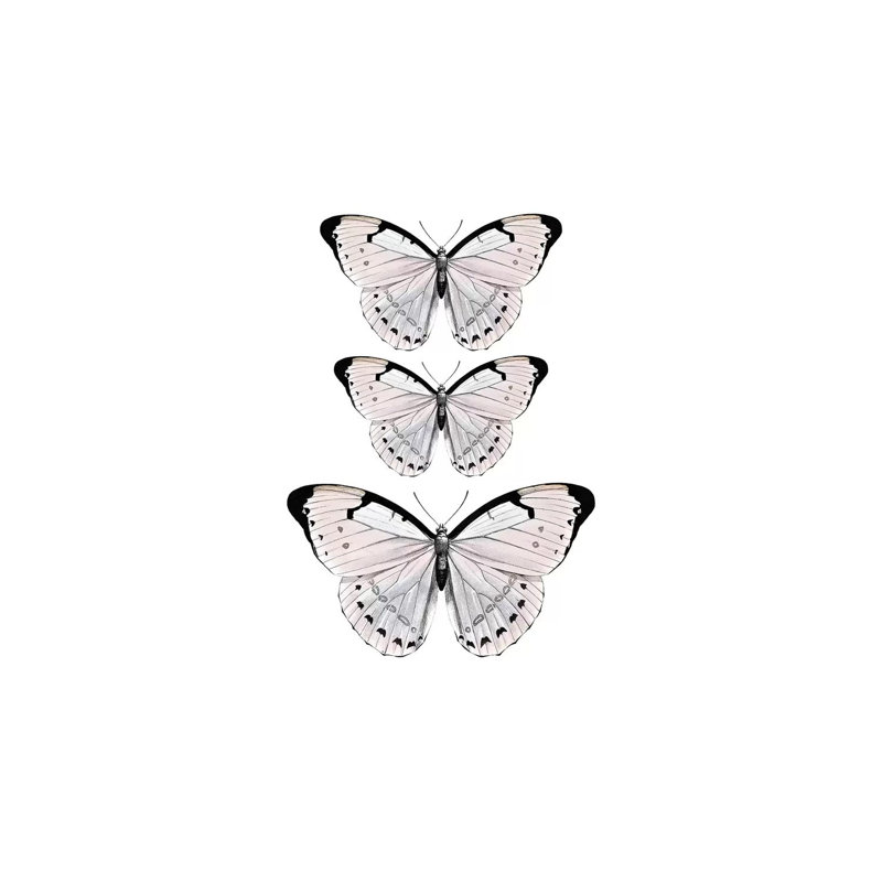 Papillion Rose 1 Piece Wrapped Canvas Painting, 66.04 cm H x 45.72 cm W x 1.91 cm D