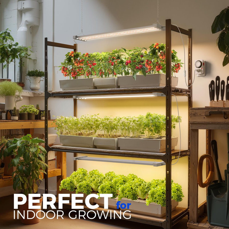 Barrina Tx-l63 3 pi pour la culture de plantes d'intérieur, 252 W (4 x 63 W), 4 panneaux à DEL, couverture plus large, spectre complet, Ppfd élevé, minuterie mécanique, luminaire suspendu pour plantes d'intérieur, ensemencement, 4 paquets