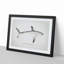 Illustration of a Porbeagle Shark by F.E. Clarke - Picture Frame Painting Print-55579461-55579463