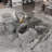 Jai Glass Top Metal Base Dining Table