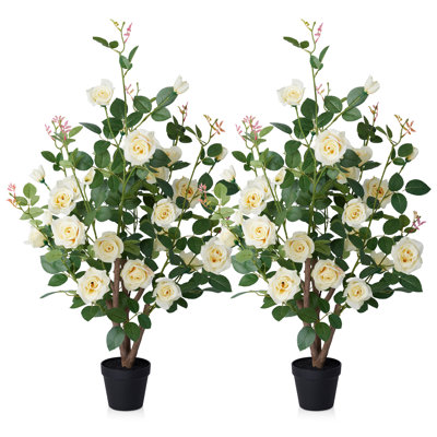 Ashwell UV Resistant Rose Tree