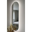 Delmarie Metal Oval Mirror