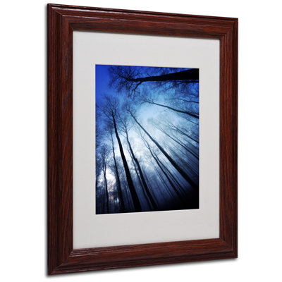 « blue forest » par philippe sainte-laudy,, reproduction de photo encadrée