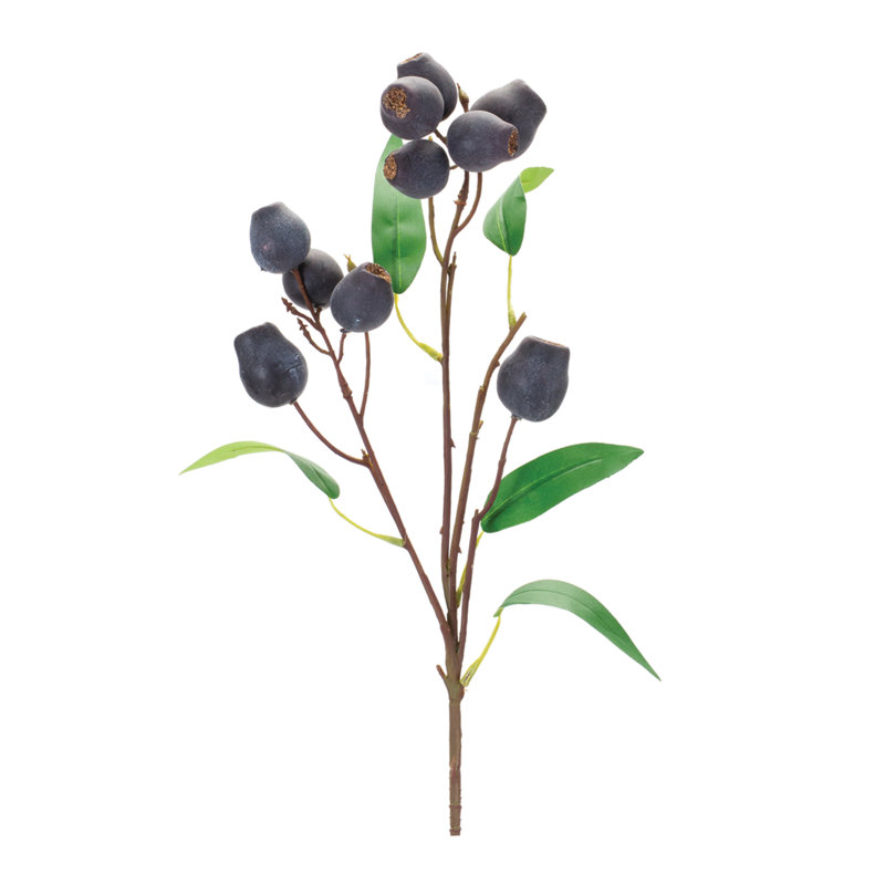 Tiges de prune