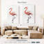 Flamant rose Brampt-108484649