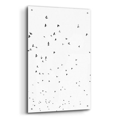 Reproduction d'oiseau sur plastique / acrylique par Epic Portfolio