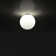 Dioscuri Flush Mount