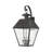 Pineville Wall Light-616744849