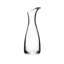 Glass Carafe-596986019