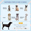 Mesh Portable Dog House