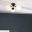 Haslett Glass Spotlight
