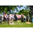 2' X 3' Freakin Weekend Tailgate Size Cornhole Set