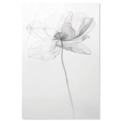 «Fragile Beauty I», art floral élégant en acrylique par Art Remedy, prêt à être accroché