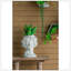 Pot de fleurs mural en ciment