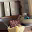 Photos des clients 1 de 1