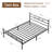 Jariana Metal Bed Frame-737520231
