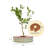 8" Tall 36" Wide Round Metal Outdoor Raised Garden Bed-113790945