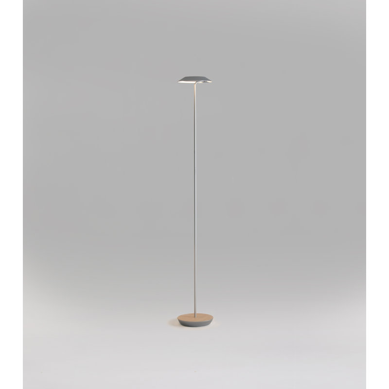 Royyo 45.5'' LED Novelty Floor Lamp, Silver/White Oak