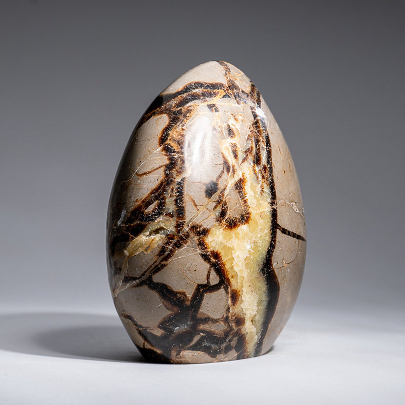 Forme libre de septaire poli de Madagascar (2,6 lb)