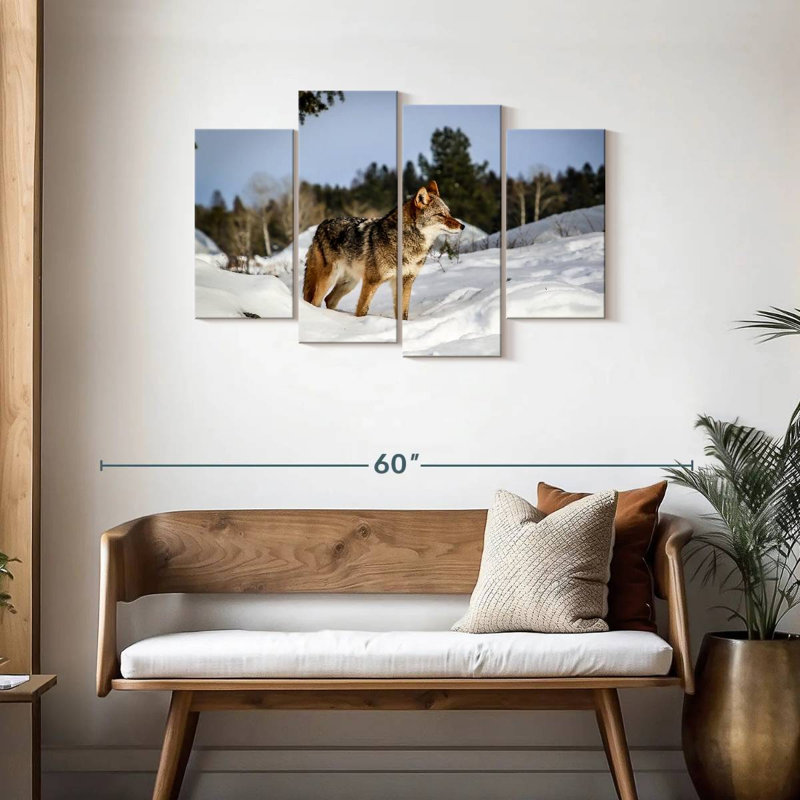 Coyotes des neiges hivernales, H 27 po x l 43 po