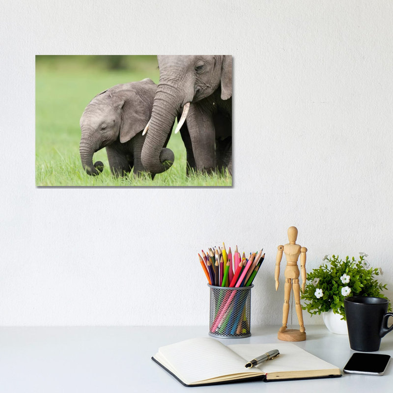 African Elephant Juvenile and Calf, Ol Pejeta Conservancy, Kenya II 1 Piece Wrapped Canvas Wall Art, 20.32 cm H x 30.48 cm W