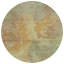 Tapis intérieur / extérieur Theodara Aloe-603810065