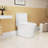 1.1/1.6 GPF Elongated Comfort Height Super Quite Flushing Floor Mounted One-Piece Toilet, CUPC Certified, Watersense Cetified, Ceramic, White Color, Soft Close Seat