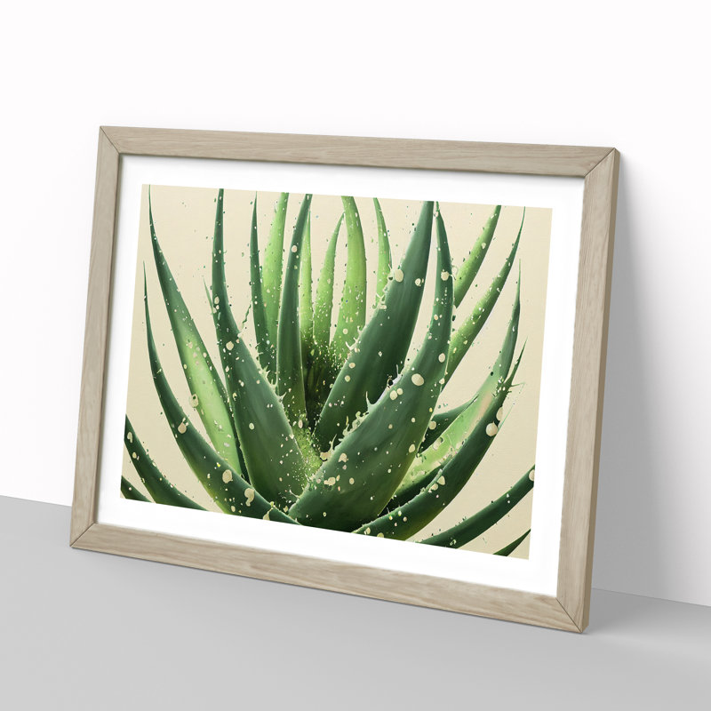 Angelical Aloe Vera Plant - Single Picture Frame Print, 25cm H x 34cm W x 2cm D, Oak