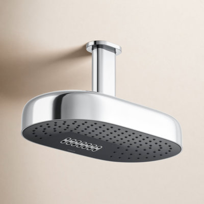 Statement 14" 1.75 GPM Oblong Rainhead