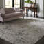 Area Rug in Gray-1165483594