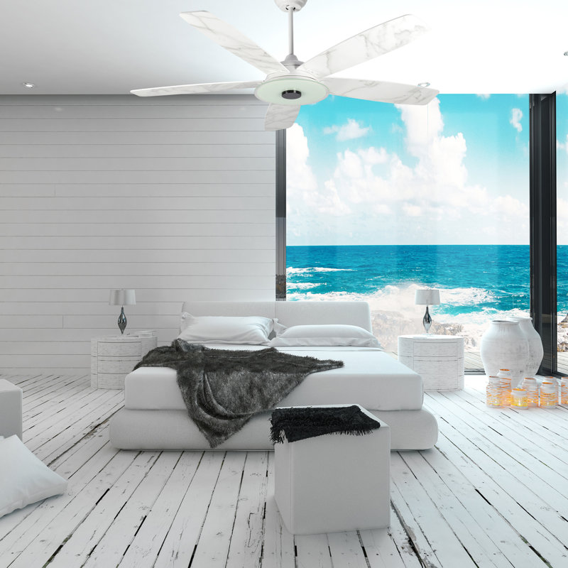 Striker 56'' Ceiling Fan with LED Lights