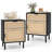 Rattan Nightstand Set Of 2 Mid Century Modern End Table With Drawer & Cabinet