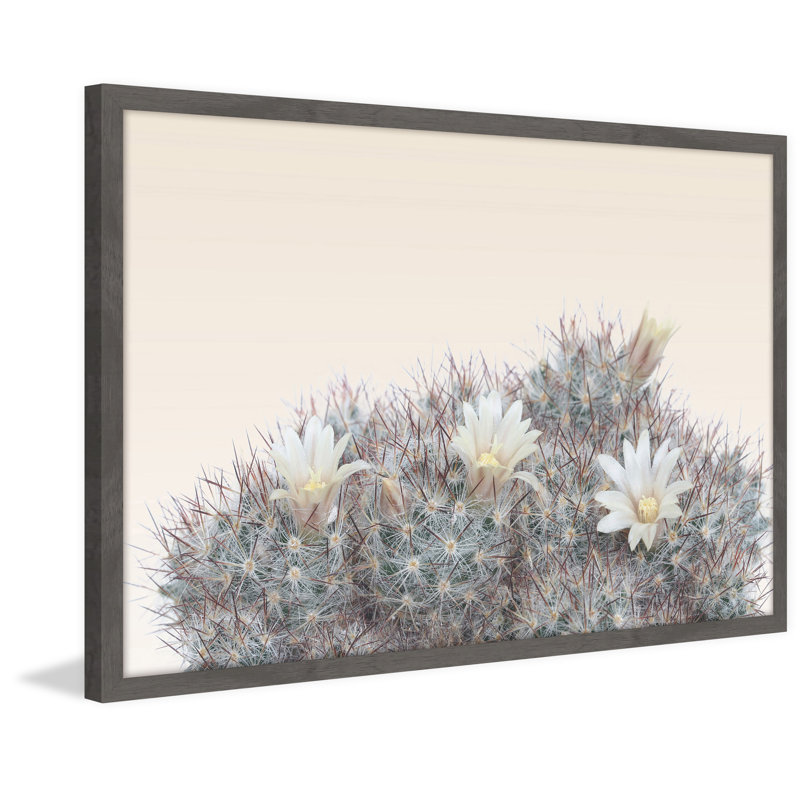 « fleur de désert », reproduction de photo encadrée, H 12 po x l 18 po x P 1,5 po
