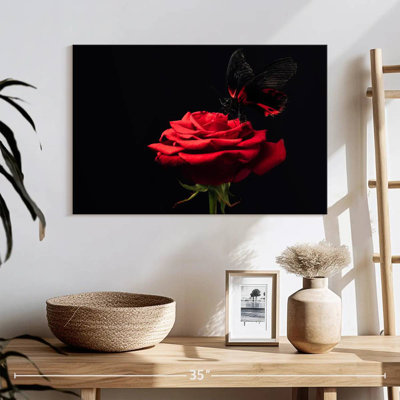 Harnek papillon embrassant la rose