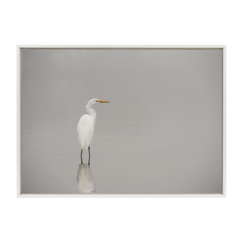 «Great White Egret» par Crystal Lynn Collins, reproduction d'art sur toile encadrée, L 38 po x H 28 po