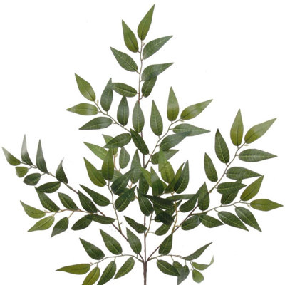 Tiges Salas Lush Smilax