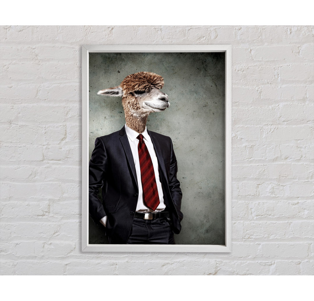 Business Llama Gerahmter Druck